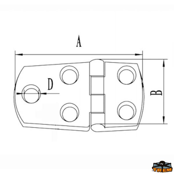 Cerniere inox AISI 316 57x38 mm