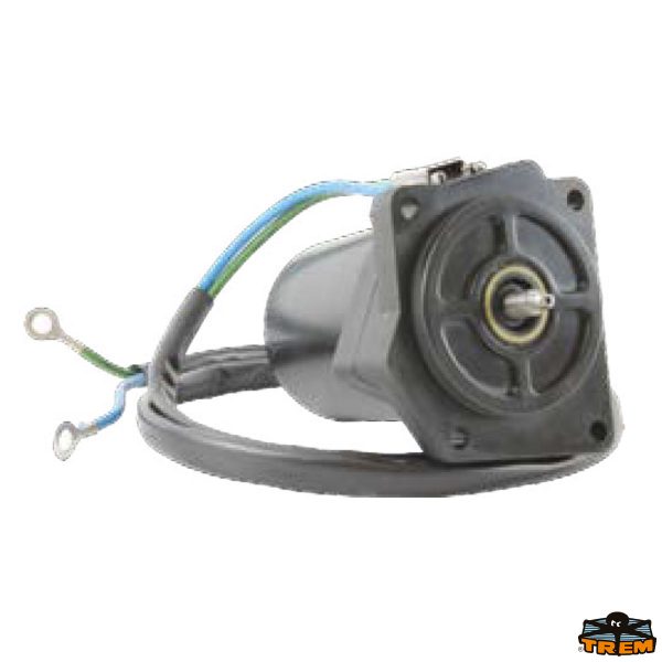 Motorino trim YAMAHA