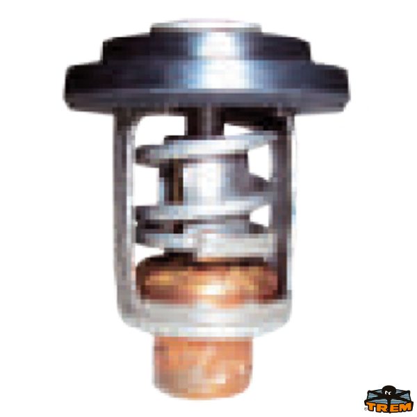 Termostato HONDA