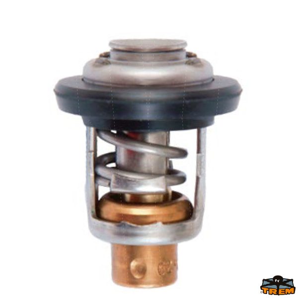 Termostato HONDA