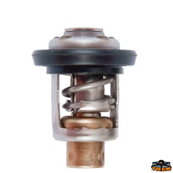 Termostato HONDA