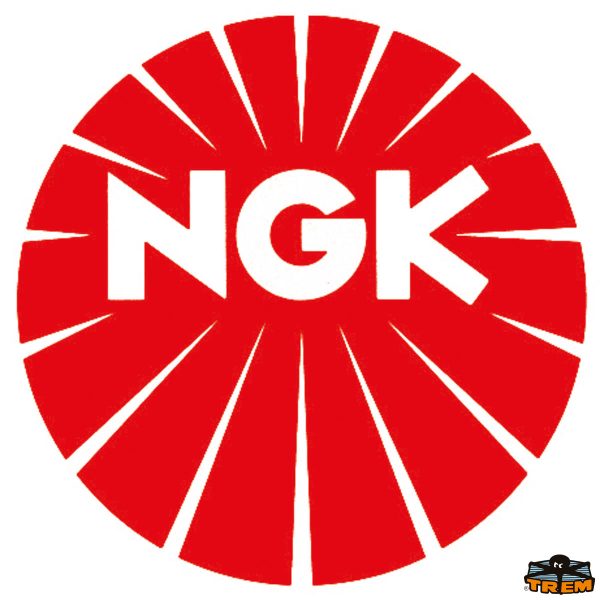Candele NGK